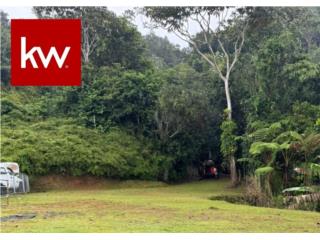 BO. BARRIO NUEVO, TERRENO EN BAYAM�N 