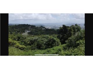 Se vende finca de 21 cuerdas en Caguas