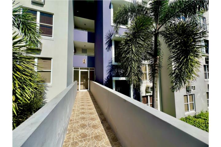 Magnífico apartamento walk up, completamente remodelado, consta de, Sala, Comedor, Cocina con gabine
