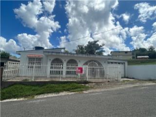 BO. CEIBA SUR SR 198 KM 18.8 (14)