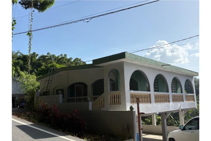 Jagueyes Puerto Rico Aguas Buenas