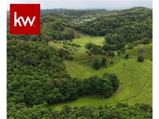 BO. R�O ARRIBA PONIENTE, FINCA EN MANAT� 