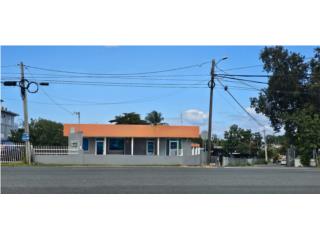 Galeria