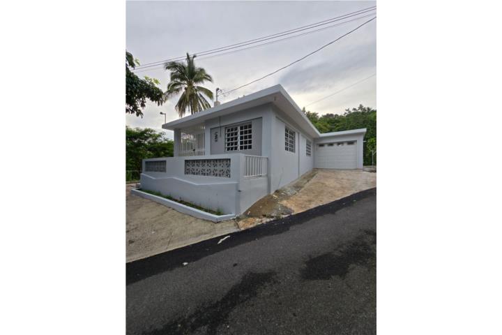 Jaguas Puerto Rico Gurabo