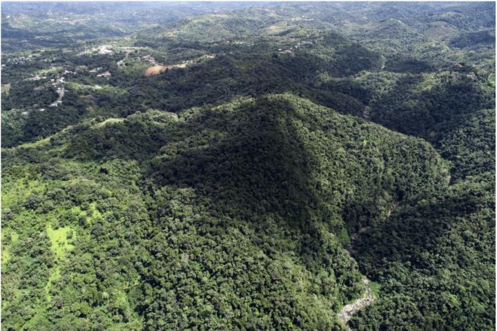 Mameyes Utuado