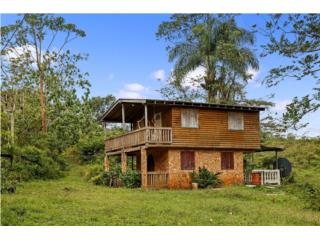 Historic 67-Acre Coffee Estate Land in Utuado