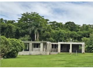 Juan Martin 3h/2b  $260,000