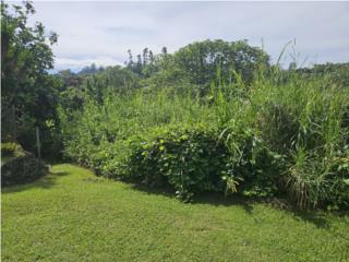 Bo Barrancas Finca 4 cdas - $90k OMO