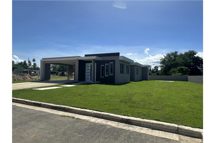 Carrizal Puerto Rico Aguada