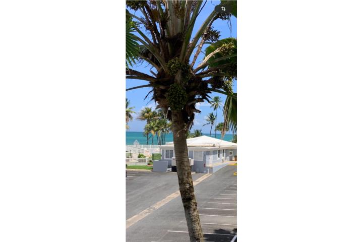 Berwind Beach Resort Puerto Rico, Venta Bienes Raíces Río Grande Puerto ...