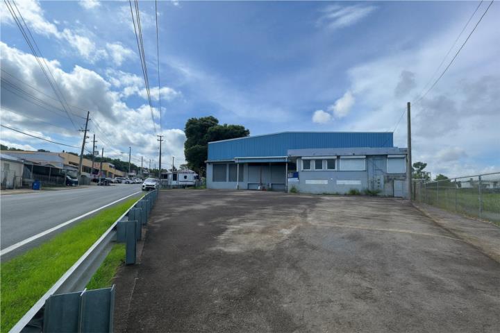 Palmarejo Puerto Rico Corozal