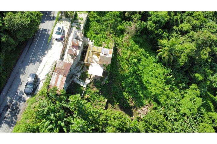 Guaraguao Puerto Rico Ponce