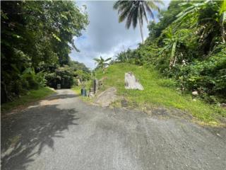TERRENO BO. LA GLORIA $65K
