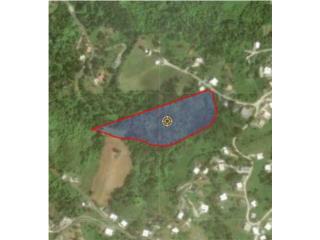 4.9 CUERDAS EN GUAVATE!
