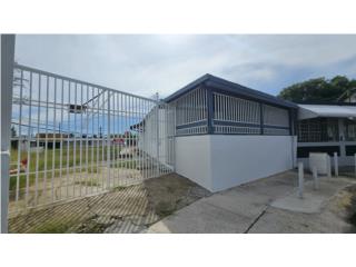 Galeria