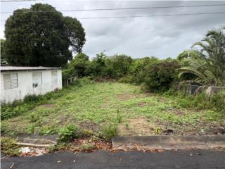 VIEQUES - LA ESPERANZA - Solar 344mts