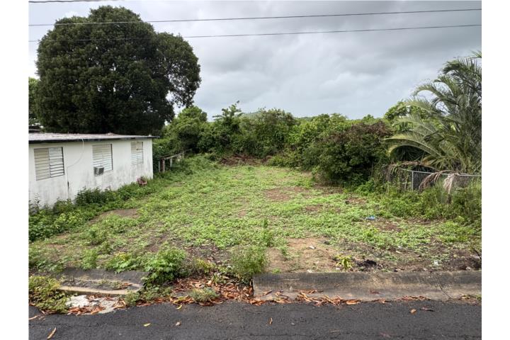 Esperanza Puerto Rico Vieques