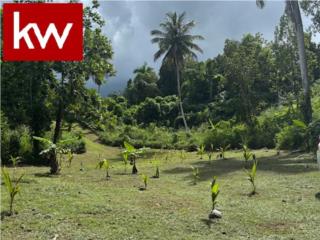 BO. ABRAS, TERRENO EN COROZAL
