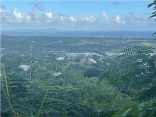 SECTOR CANDELERO LOTE  3768 MTS