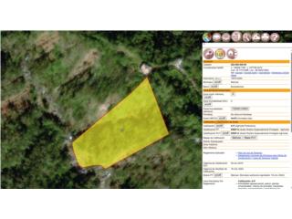 3 CDAS. CON RIO, EN LAS MONTA�AS