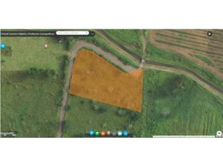 Excelente terreno en Santa Isabel