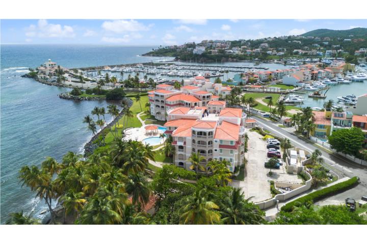 Plaza Del Mar Palmas del Humacao - Palmas