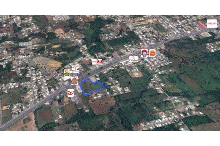 Membrillo Puerto Rico Camuy