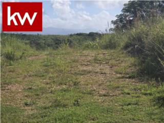 BO. MIRADERO, TERRENO EN CABO ROJO