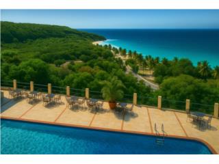 Renovated Ocean-View Boutique Hotel - 58 Keys