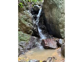 antigua Hacienda Cafetelera con 173 cuerdas