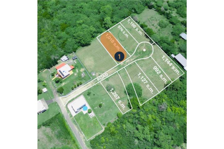 Combate Puerto Rico Cabo Rojo