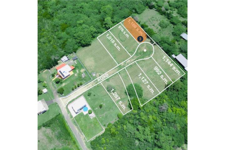 Combate Puerto Rico Cabo Rojo