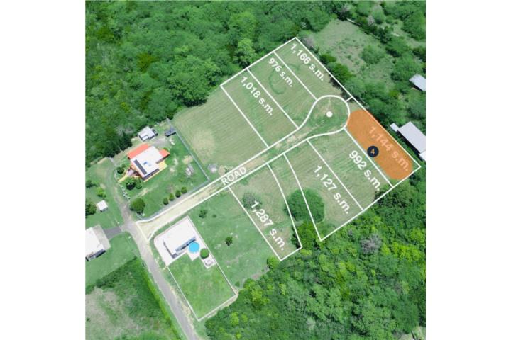 Combate Puerto Rico Cabo Rojo