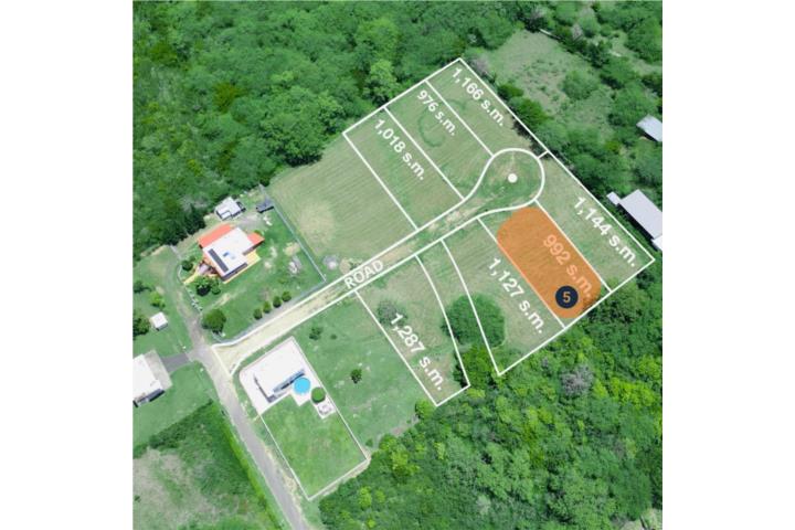 Combate Puerto Rico Cabo Rojo