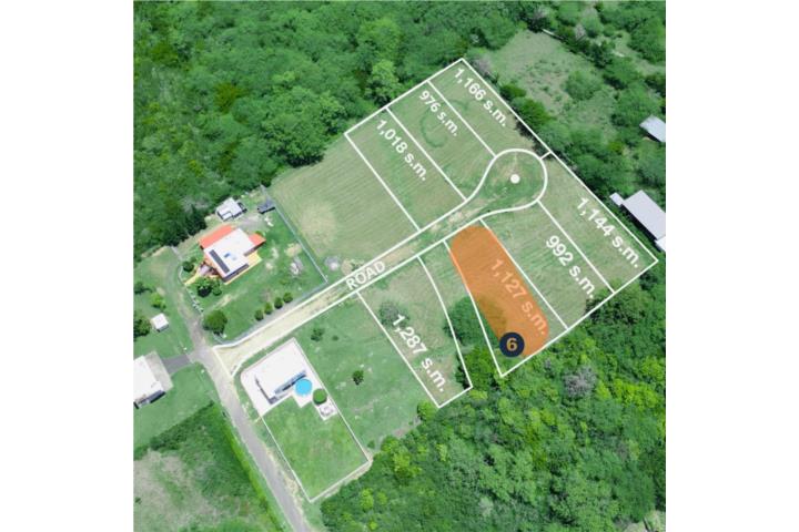 Combate Puerto Rico Cabo Rojo