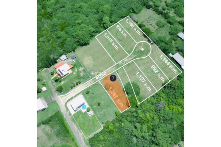 Combate Puerto Rico Cabo Rojo