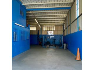 Galeria