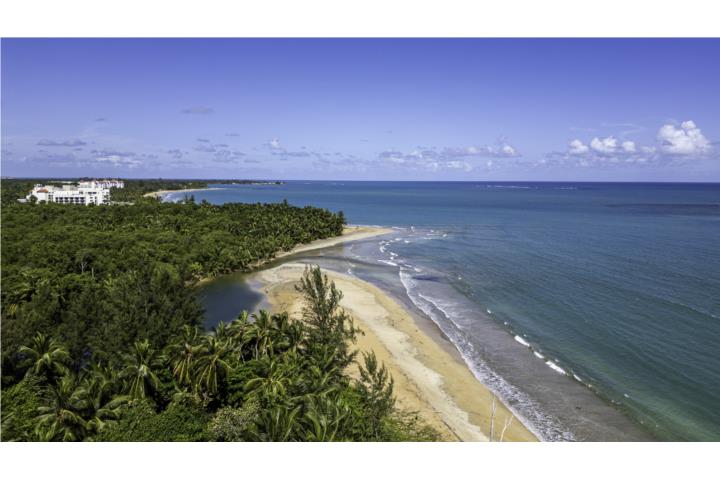 Mameyes Puerto Rico Luquillo