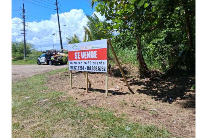 Humacao Terreno 24.