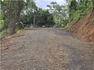 SOLAR GRANDE LISTO PARA CONSTRUIR CEDRO ARRIB