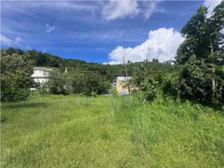 BO.QUEBRADA CRUZ 