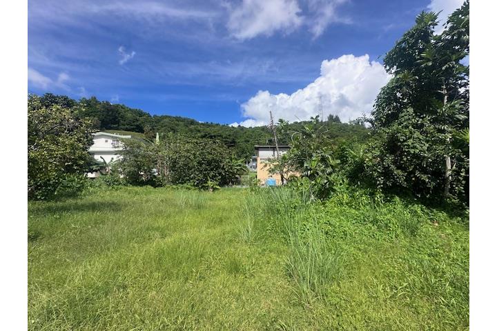 NUEVO EN EL MERCADO! SOLAR CON CABIDA DE 982 METROS CUADRADOS, LLANO, SEMBRADO DE FRUTOS MENORES, FA