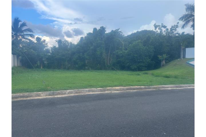 Brisas Del Barceloneta