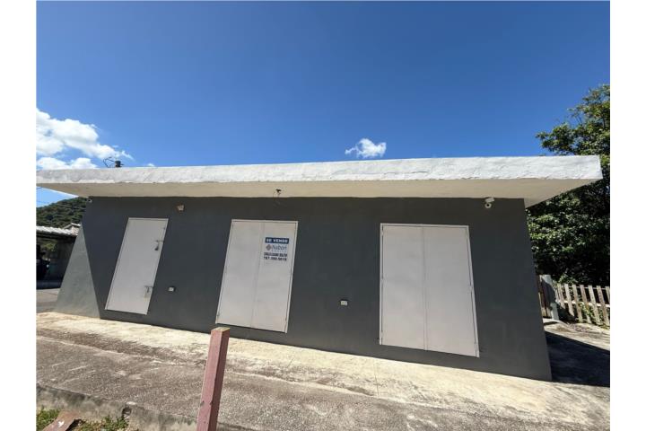 Romero Puerto Rico Villalba