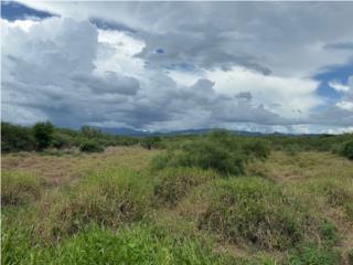 Bo. Rio Ca�as Abajo Carr 1 