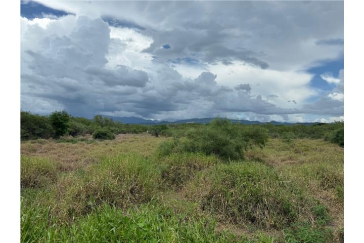 Rio Canas Juana Díaz