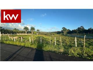 BO. MONTONES, SOLAR EN LAS PIEDRAS