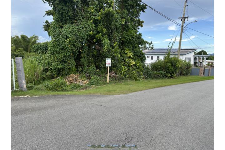 Montones Puerto Rico Las Piedras