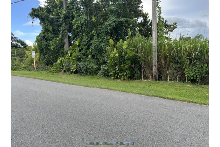 Montones Puerto Rico Las Piedras