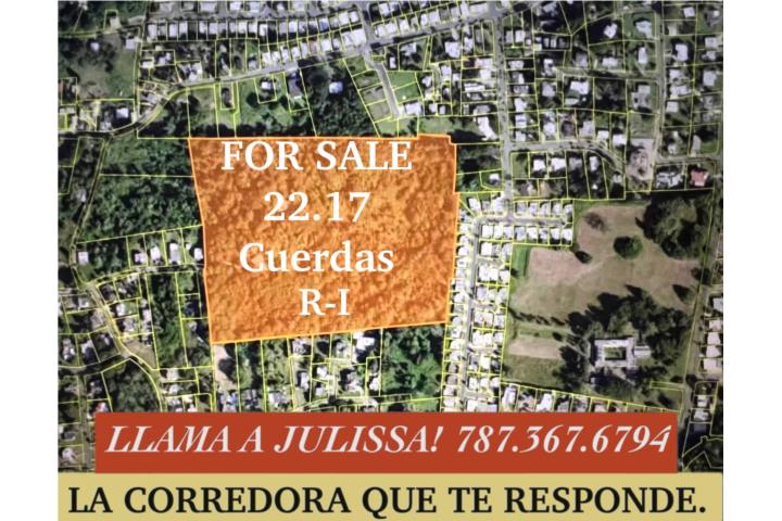 DESARROLLADOR! VENTA POR TASACION! Oportunidad única de adquirir 22.